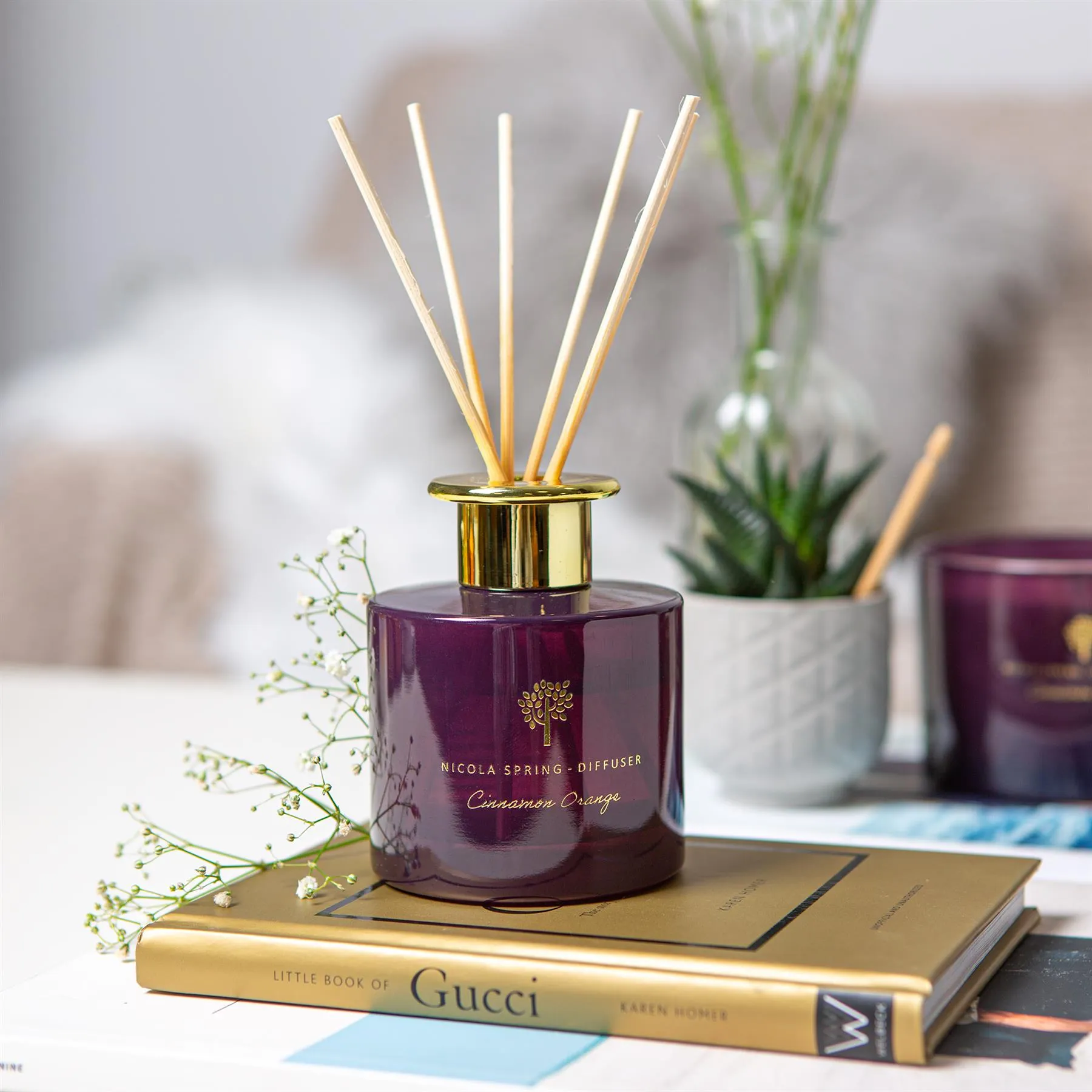 200ml Cinnamon Orange Scented Reed Diffuser - By Nicola Spring