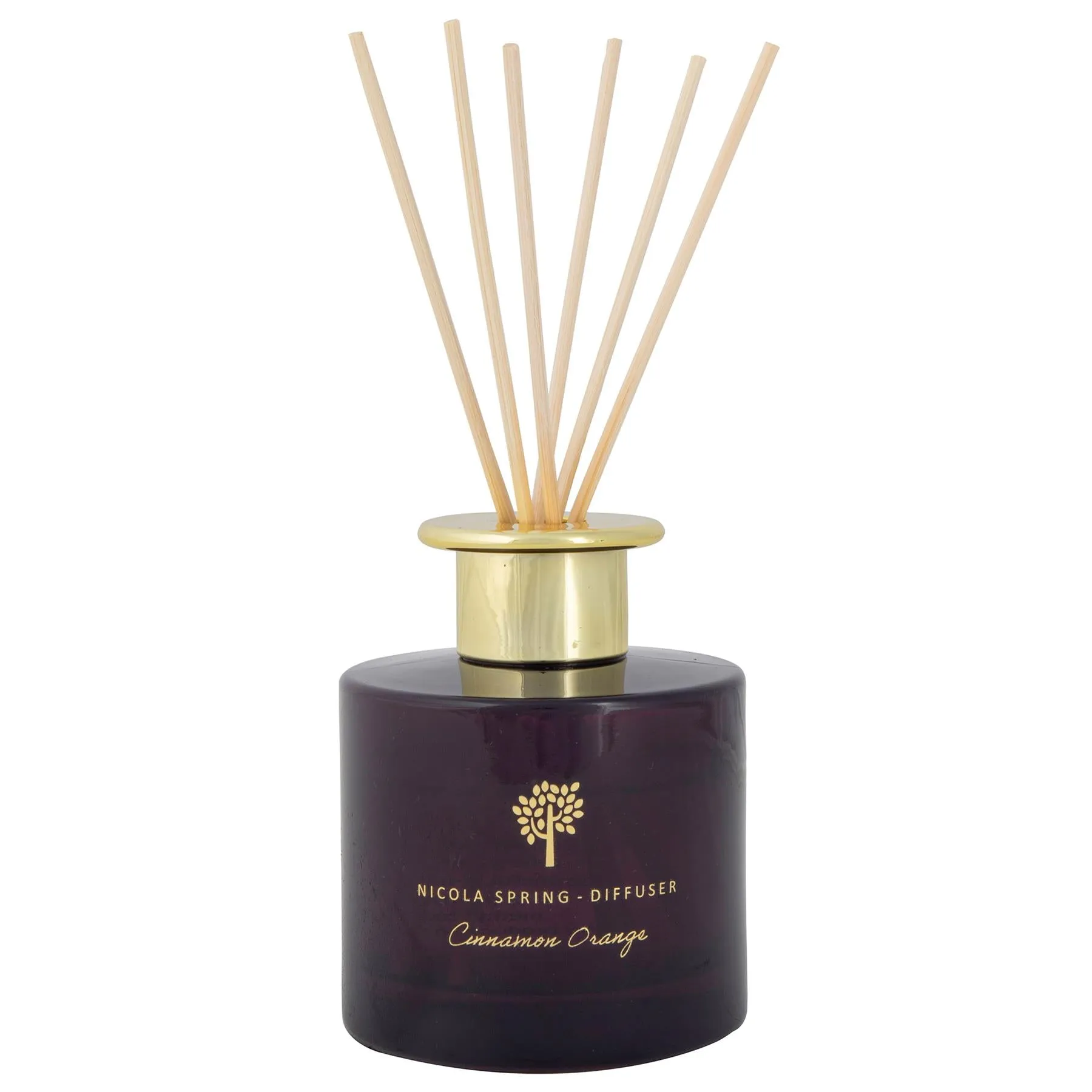 200ml Cinnamon Orange Scented Reed Diffuser - By Nicola Spring