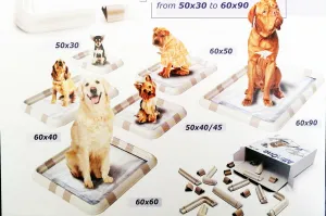 Record - Modular Pee Pad Holder (Size adjustable from 50x30cm to 60x90cm)
