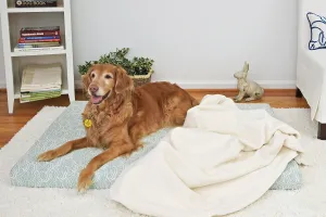 Vita Orthopedic Dog Bed, Lichen