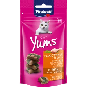 Vitakraft Cat Yums Chicken & Cat Grass 40g